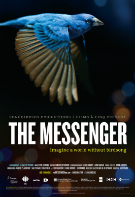The Messenger Raises Awareness of Birds