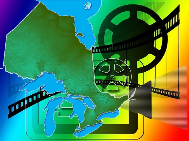 The future of Canadian feature films in the international market- A case study