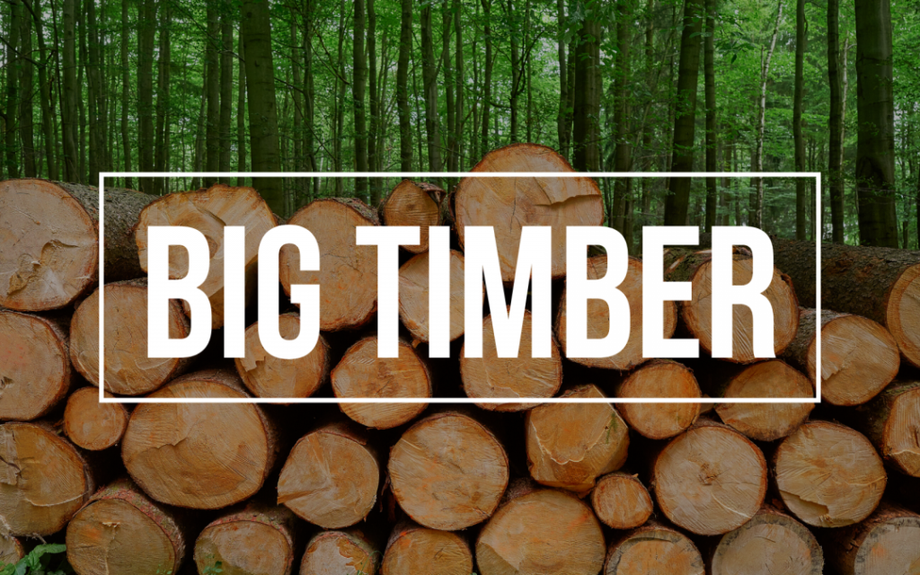 Talent On Tap Kevin and Sarah Bring You Big Timber