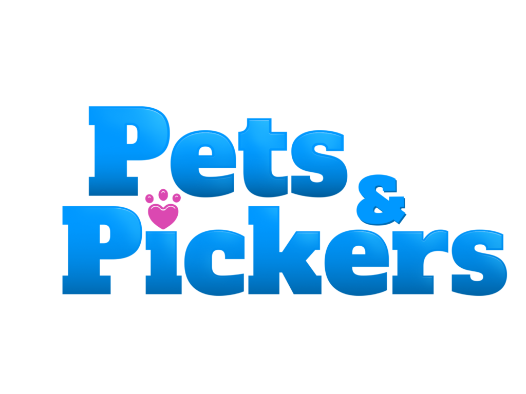 Talent on Tap – Pets & Pickers Combines Our Love For Pets With Bin Picking