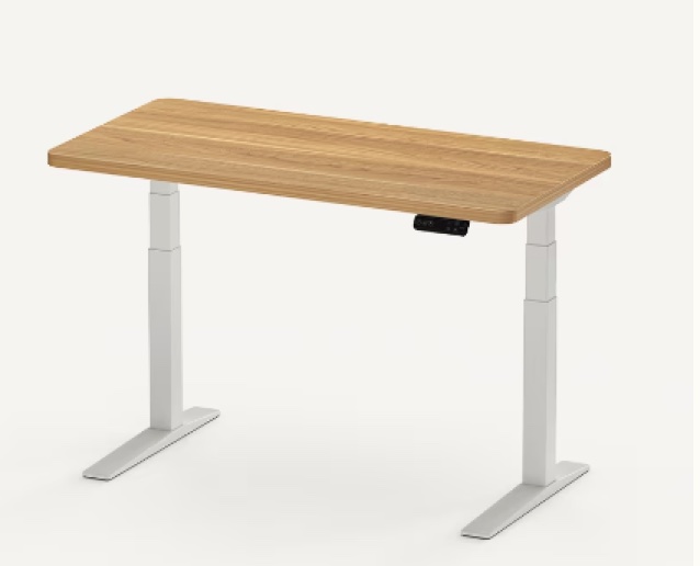 The Unshakeable Premium Standing Desk To Elevate Workspace Efficiency