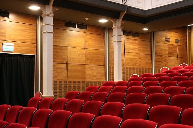 Canuck Cinema